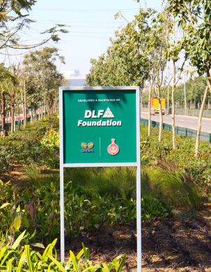 Greening Cities Programme